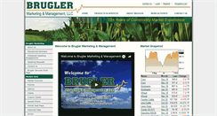 Desktop Screenshot of bruglermarketing.com